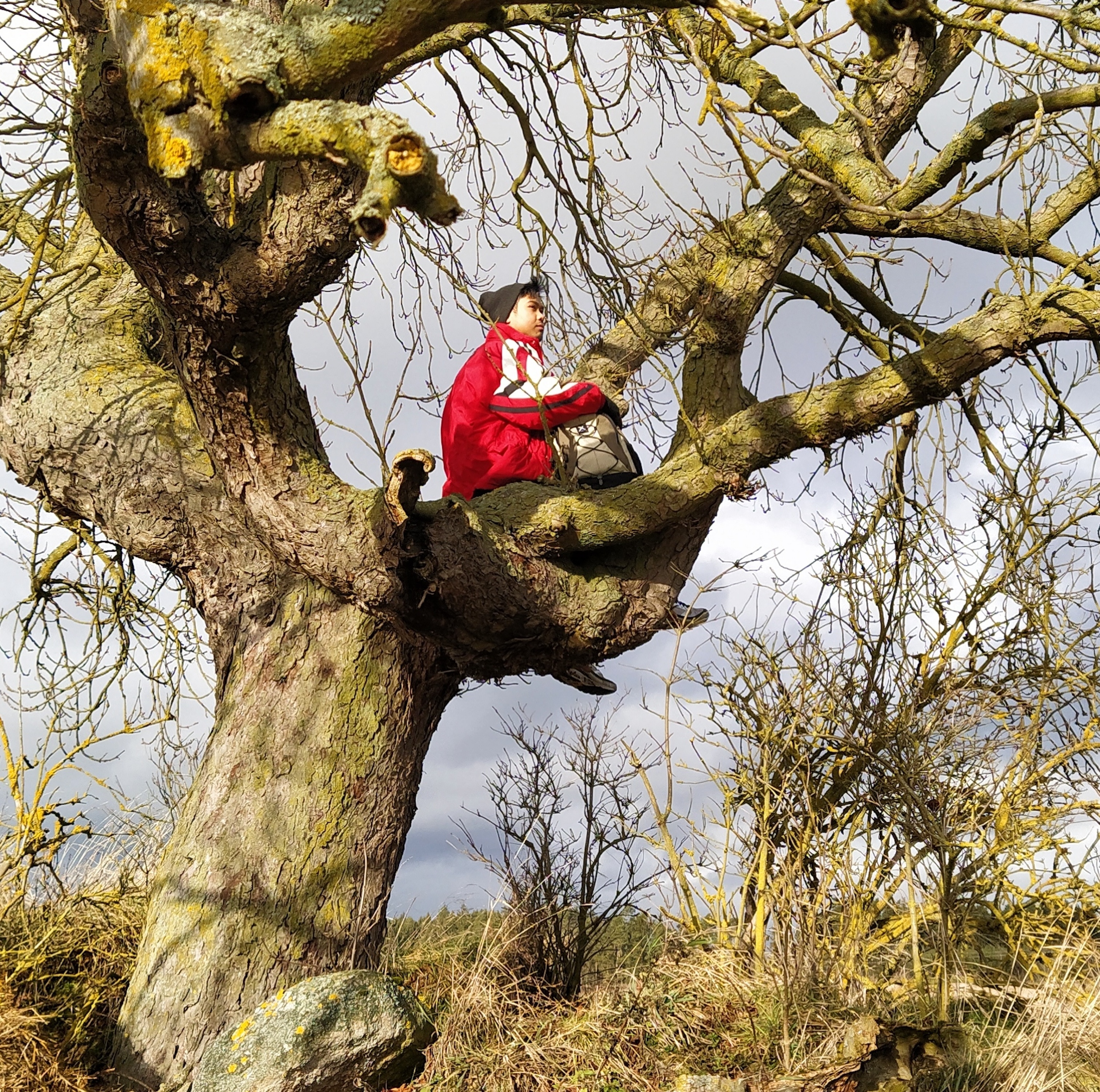 Hazmin on a tree